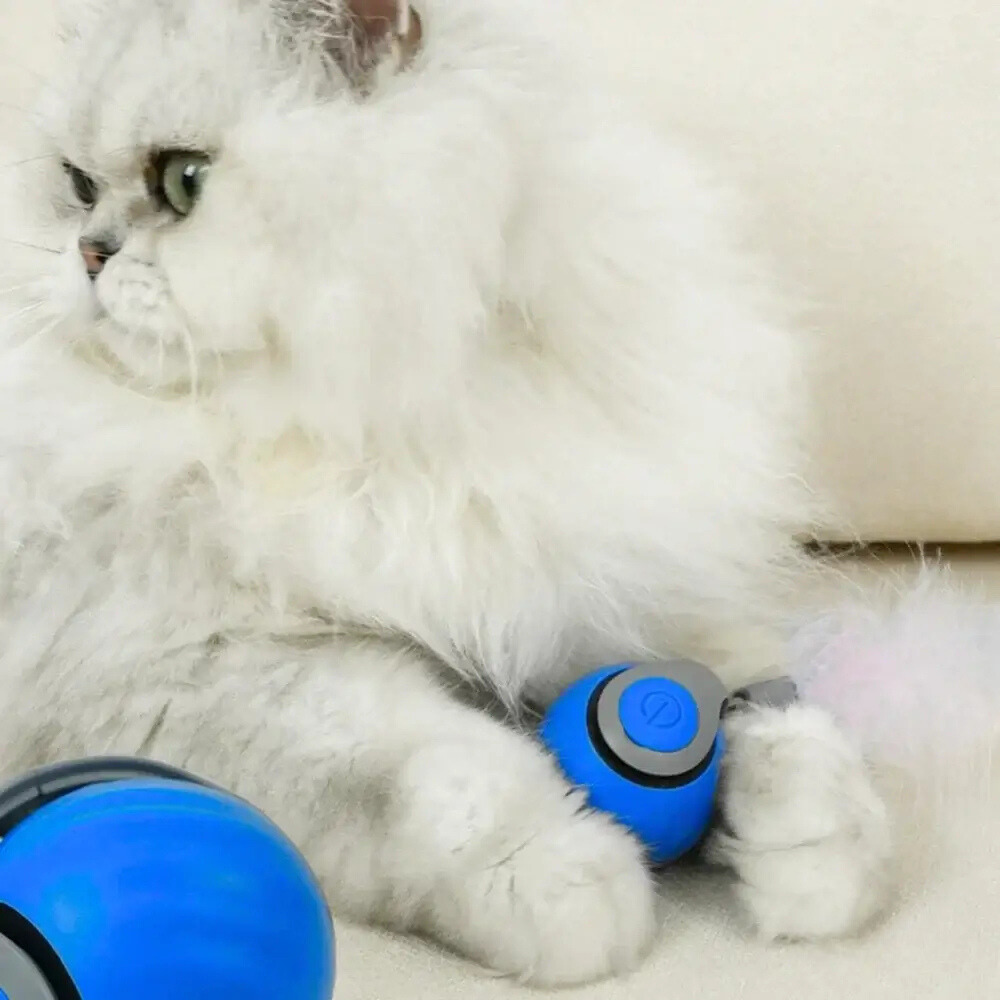 Speedy Cat - Jouets interactifs pour chats