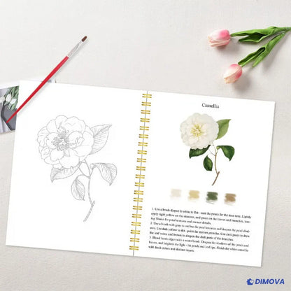 Kit d'aquarelle complet avec livre de coloriage