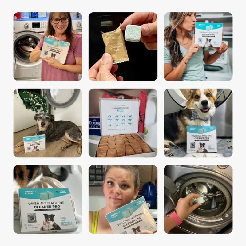 Nettoyant Machine Pro Enzymes Actives