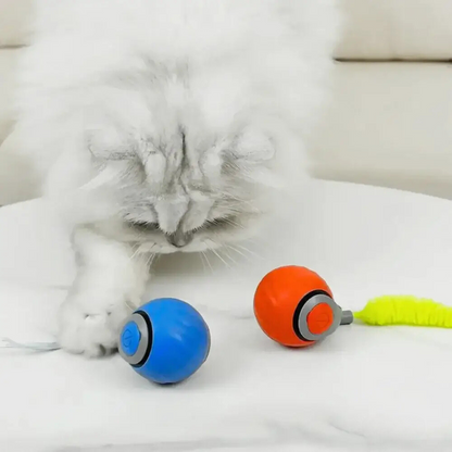 Speedy Cat - Jouets interactifs pour chats