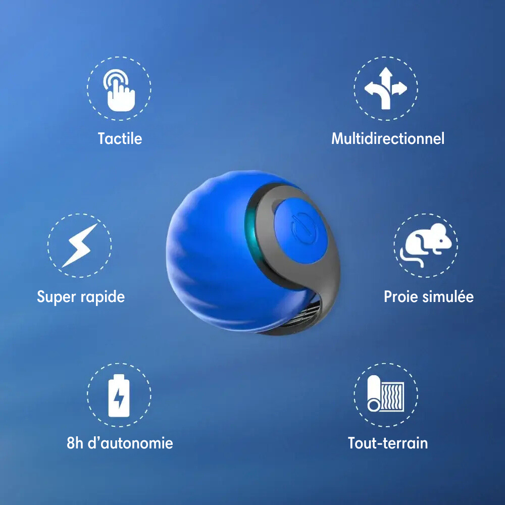 Speedy Cat - Jouets interactifs pour chats