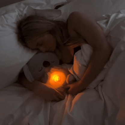 Koala Apaisant – Le compagnon du calme intérieur